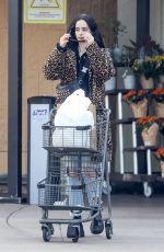 KRYSTEN RITTER Out Shopping for Grocery at Gelson