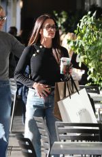 KYLE RICHARDS Out and About in Los Angeles 11/13/2024