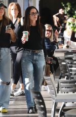 KYLE RICHARDS Out and About in Los Angeles 11/13/2024