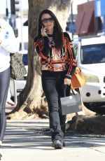 KYLE RICHARDS Out and About in West Hollywood 10/31/2024