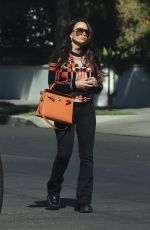 KYLE RICHARDS Out and About in West Hollywood 10/31/2024