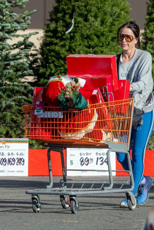 KYLE RICHARDS Shopping for Christmas Decorations at Home Depot in Van Nuys 11/27/2024