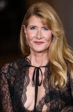 LAURA DERN at 2024 LACMA Art and Film Gala Presented by Gucci in Los Angeles 11/02/2024