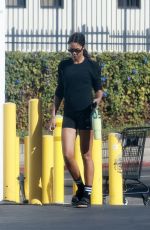 LAURA HARRIER Arrives at Morning Pilates Class in Los Feliz 11/04/2024