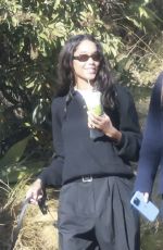 LAURA HARRIER Out House Hunting with Her Dog in los Angeles 11/12/2024
