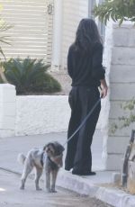 LAURA HARRIER Out House Hunting with Her Dog in los Angeles 11/12/2024