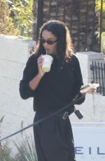LAURA HARRIER Out House Hunting with Her Dog in los Angeles 11/12/2024