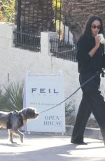 LAURA HARRIER Out House Hunting with Her Dog in los Angeles 11/12/2024