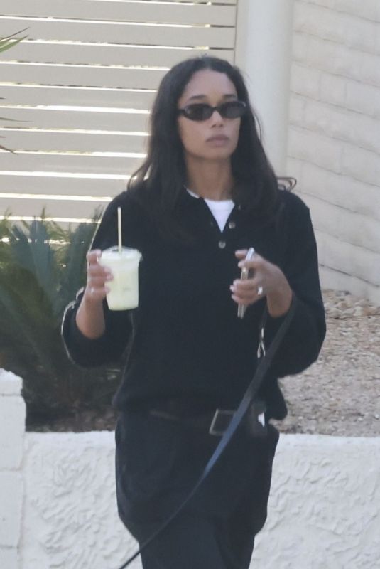 LAURA HARRIER Out House Hunting with Her Dog in los Angeles 11/12/2024