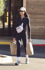 LAURA HARRIER Out Shopping in Los Angeles 11/17/2024