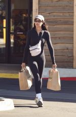 LAURA HARRIER Out Shopping in Los Angeles 11/17/2024