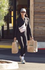 LAURA HARRIER Out Shopping in Los Angeles 11/17/2024