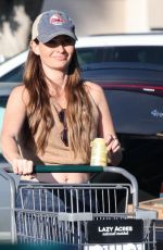 LAUREN PARSEKIAN Out SShopping at Lazy Acres in Los Angeles 11/10/2024