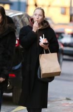 LILA GRACE MOSS Enjoys a Frozen Treat in New York 11/19/2024