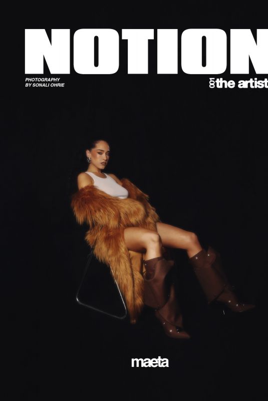 MAETA for NOTION The Artists Vol. 1, November 2024