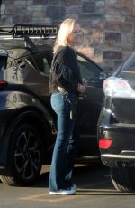 MALIN AKERMAN Heading to a Grocery Store with Her Dog in Los Angeles 11/07/2024