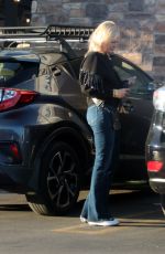 MALIN AKERMAN Heading to a Grocery Store with Her Dog in Los Angeles 11/07/2024