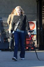 MALIN AKERMAN Heading to a Grocery Store with Her Dog in Los Angeles 11/07/2024