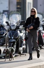 MICHELLE HUNZIKER Out with Her Dog in Milan 11/07/2024