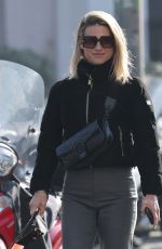 MICHELLE HUNZIKER Out with Her Dog in Milan 11/07/2024