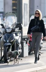 MICHELLE HUNZIKER Out with Her Dog in Milan 11/07/2024