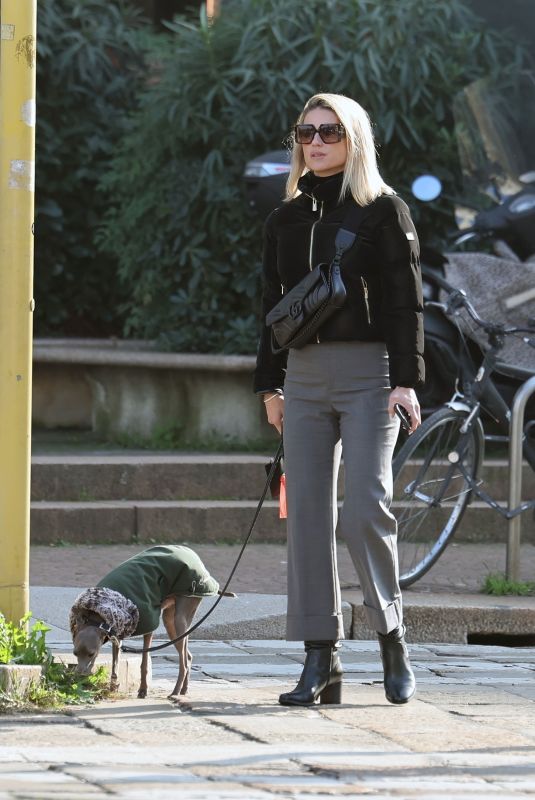 MICHELLE HUNZIKER Out with Her Dog in Milan 11/07/2024