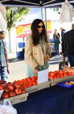 NATASHA BLASICK Out Shopping at Studio City Farmer