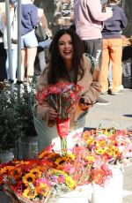 NATASHA BLASICK Out Shopping at Studio City Farmer