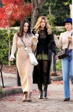 NIKKI and BRIE BELLA Out for Lunch with Gal Pals in Napa Valley 11/23/2024