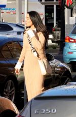 NIKKI and BRIE BELLA Out for Lunch with Gal Pals in Napa Valley 11/23/2024