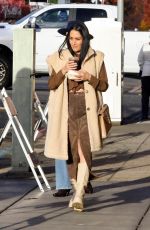 NIKKI and BRIE BELLA Out for Lunch with Gal Pals in Napa Valley 11/23/2024