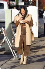 NIKKI and BRIE BELLA Out for Lunch with Gal Pals in Napa Valley 11/23/2024