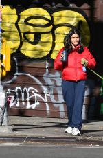 RACHEL ZEGLER Out with Her Dog in Los Angeles 11/16/2024