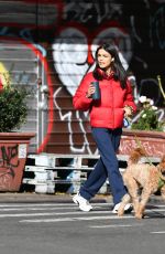 RACHEL ZEGLER Out with Her Dog in Los Angeles 11/16/2024
