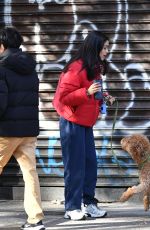 RACHEL ZEGLER Out with Her Dog in Los Angeles 11/16/2024