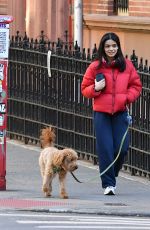 RACHEL ZEGLER Out with Her Dog in Los Angeles 11/16/2024