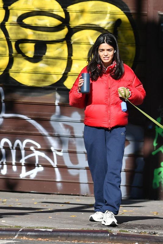 RACHEL ZEGLER Out with Her Dog in Los Angeles 11/16/2024