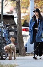 RACHEL ZEGLER Out with Her Dog in New York 11/17/2024