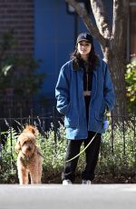 RACHEL ZEGLER Out with Her Dog in New York 11/17/2024