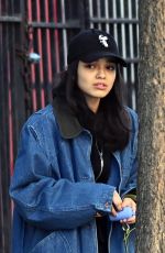 RACHEL ZEGLER Out with Her Dog in New York 11/17/2024