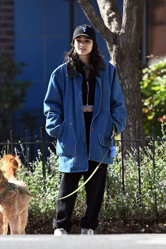 RACHEL ZEGLER Out with Her Dog in New York 11/17/2024