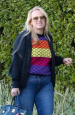 REBEL WILSON at a Friendly Outing in Beverly Hills 11/17/2024