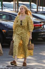 RUMER WILLIS Out Shopping at Erewhon Market in Los Angeles 11/17/2024
