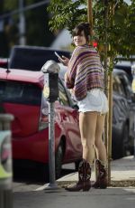 SCOUT WILLIS Out Shopping in Los Angeles 11/27/2024