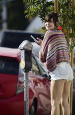 SCOUT WILLIS Out Shopping in Los Angeles 11/27/2024