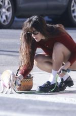 SCOUT WILLIS Out with Her Dog in Los Angeles 11/04/2024