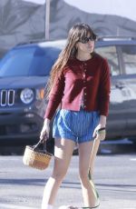SCOUT WILLIS Out with Her Dog in Los Angeles 11/04/2024