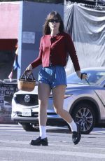 SCOUT WILLIS Out with Her Dog in Los Angeles 11/04/2024