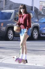 SCOUT WILLIS Out with Her Dog in Los Angeles 11/04/2024