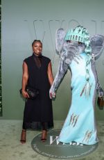 SHANA STEPHENSON at WSJ. Magazine 2024 Innovator Awards in New York 10/29/2024